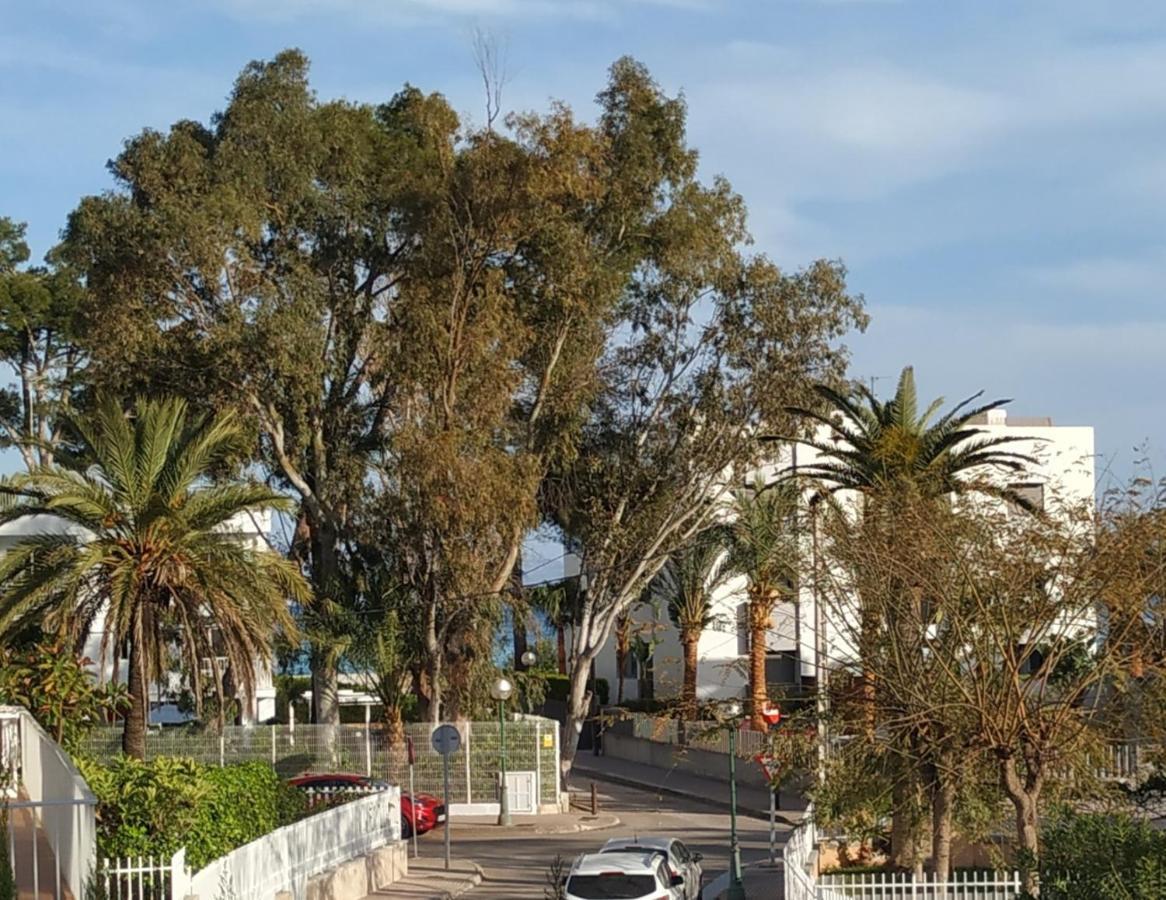 Casa Tritons Villa Port de Alcudia  Exteriör bild